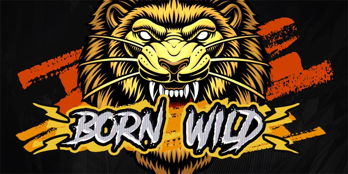 Kopertoto - Situs Bermain Slot Born Wild Dengan Hadiah Menarik